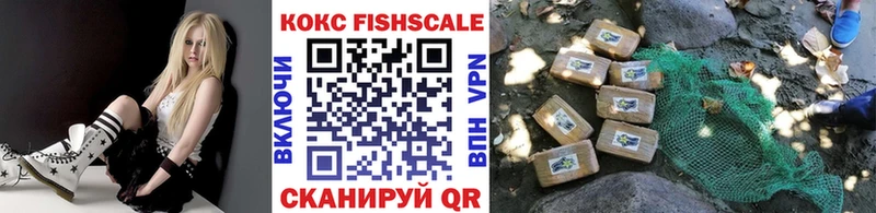 Кокаин Fish Scale  купить наркотик  кракен вход  Алейск 
