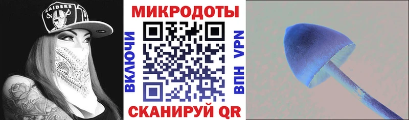 Псилоцибиновые грибы Psilocybine cubensis Алейск