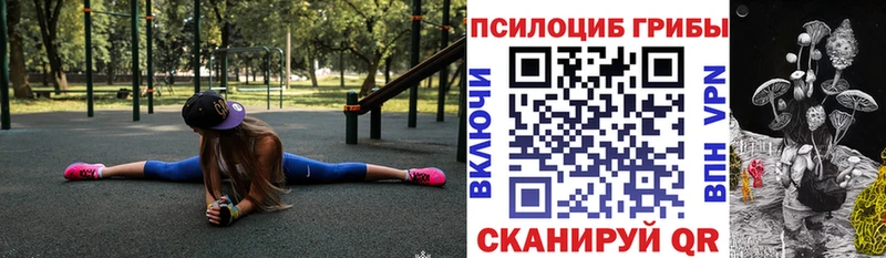Галлюциногенные грибы прущие грибы  сколько стоит  Алейск 